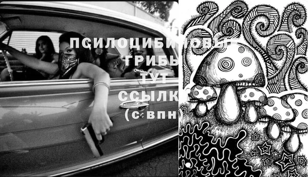 кокаин колумбия Богданович