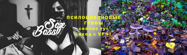 кокаин колумбия Богданович