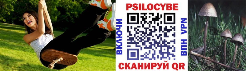 Псилоцибиновые грибы Psilocybine cubensis  Купить  Елабуга 